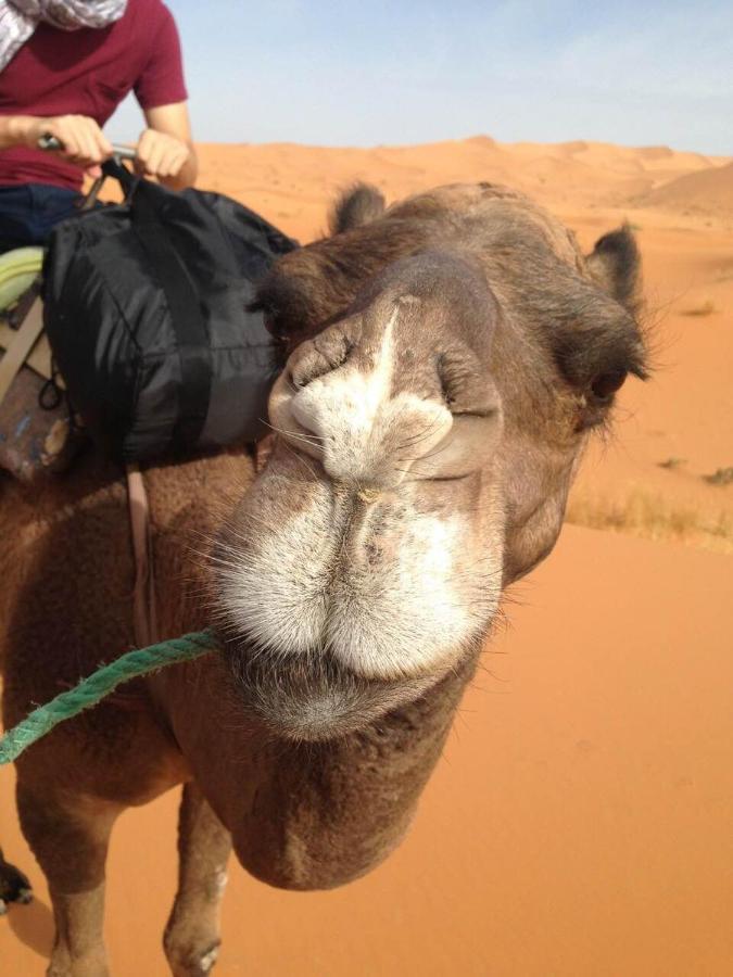 Desert Camel Trekking Camp Merzouga Luaran gambar