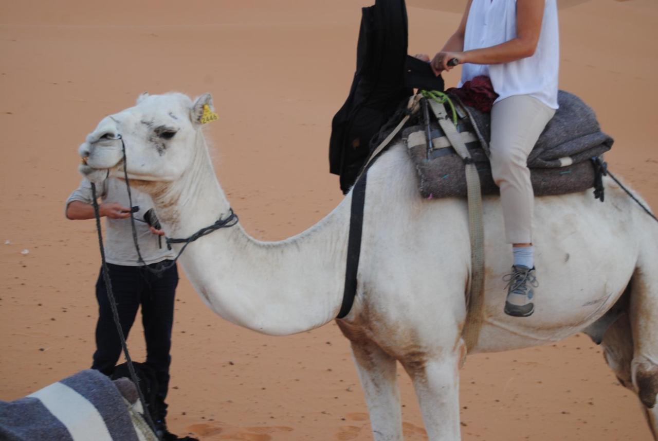 Desert Camel Trekking Camp Merzouga Luaran gambar